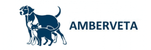 Amberveta gydykla – kirpykla logotipas